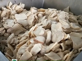 鹽水蘑菇、蘑菇罐頭和脫水蘑菇加工技術